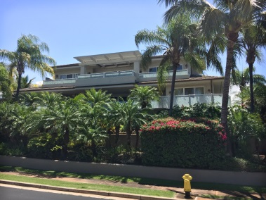 Wailea Pukalani Ocean View Residence Maui Hedge